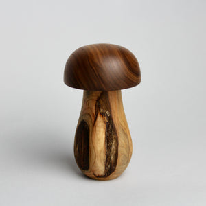 Mini Mushroom Box