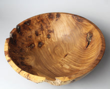 Load image into Gallery viewer, Elm Burl Bowl