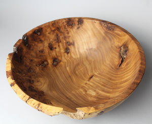 Elm Burl Bowl