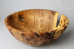 Elm Burl Bowl