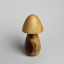 Load image into Gallery viewer, Mini Mushroom Box