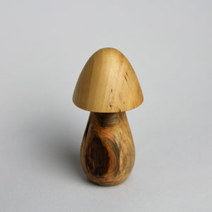 Mini Mushroom Box