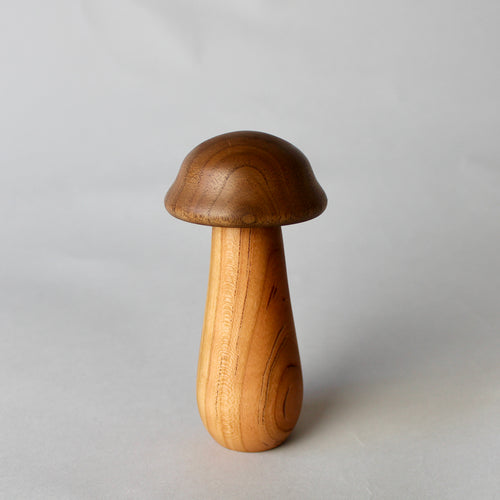 Mini Mushroom Box