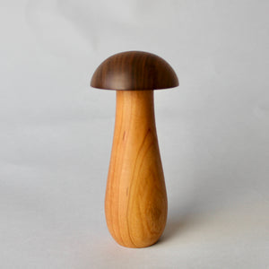 Mini Mushroom Box