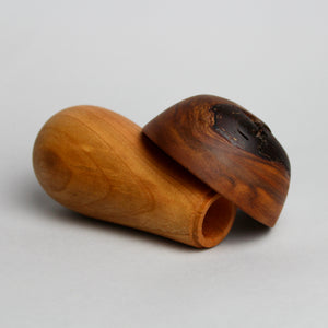 Mini Mushroom Box