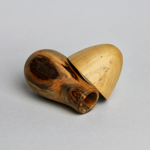 Mini Mushroom Box