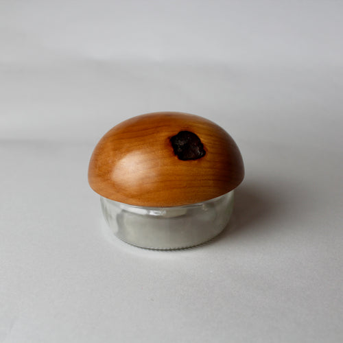 Small Mushroom Container