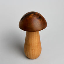Load image into Gallery viewer, Mini Mushroom Box