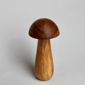 Mini Mushroom Box