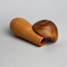 Load image into Gallery viewer, Mini Mushroom Box
