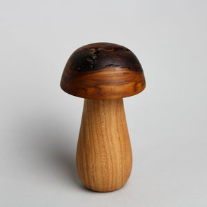 Mini Mushroom Box