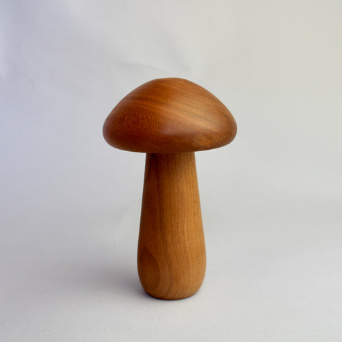Cherry Mushroom
