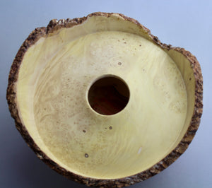 Box Elder Burl Hollow Form