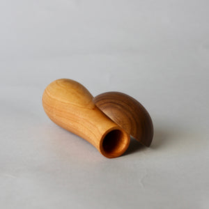 Mini Mushroom Box