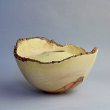 Load image into Gallery viewer, Box Elder Burl Hollow Form