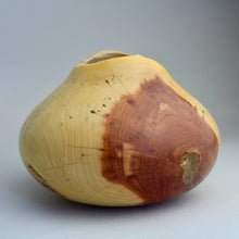 Load image into Gallery viewer, Cedar Vase