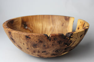 Elm Burl Bowl