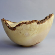 Load image into Gallery viewer, Box Elder Burl Hollow Form