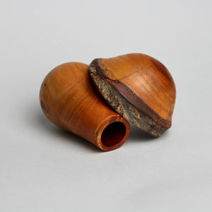 Mini Mushroom Box