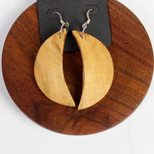 Load image into Gallery viewer, Cottonwood Earrings