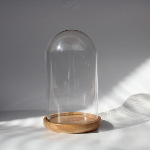 Maple Base Bell Jar