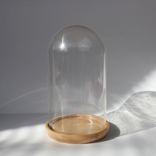 Maple Base Bell Jar