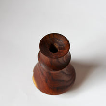 Load image into Gallery viewer, Russian Olive Bud Vase