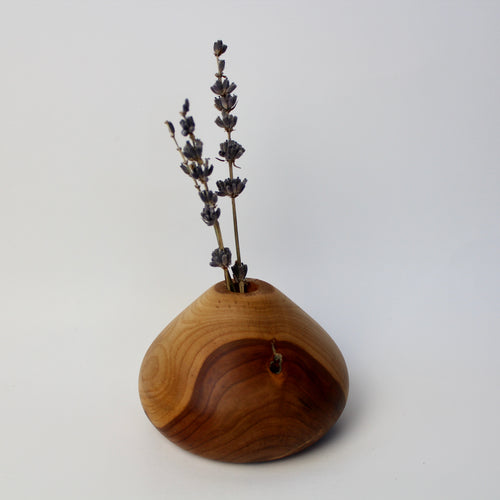 Apricot Bud Vase